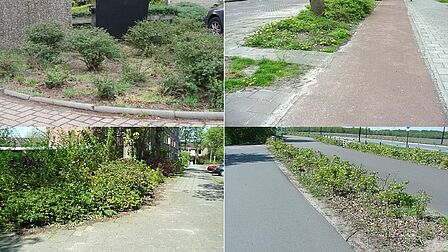 Er hangt geen onkruid over de stoep.