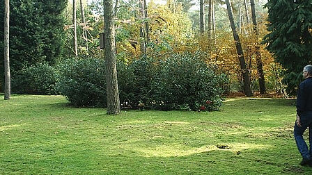 Strooiveld bij begraafplaats Tjoenerhof Diepenveen